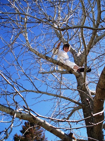 A mother's panicked reaction causes a tree climbing boy to become paralysed